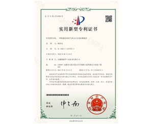 發(fā)明&實用新型專利